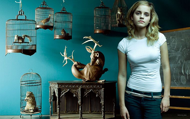 blondes, women, Emma Watson, Harry Potter, Hermione Granger - desktop wallpaper