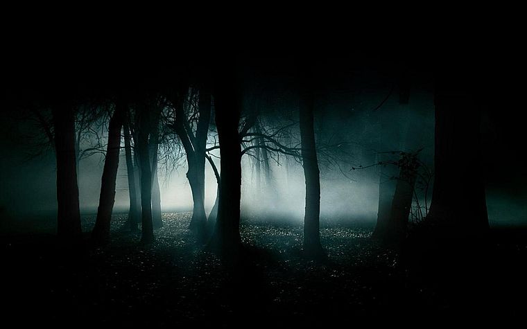 forests, mist - desktop wallpaper