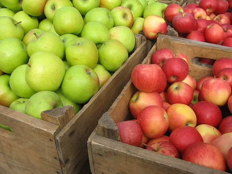 fruits, food, apples - desktop wallpaper