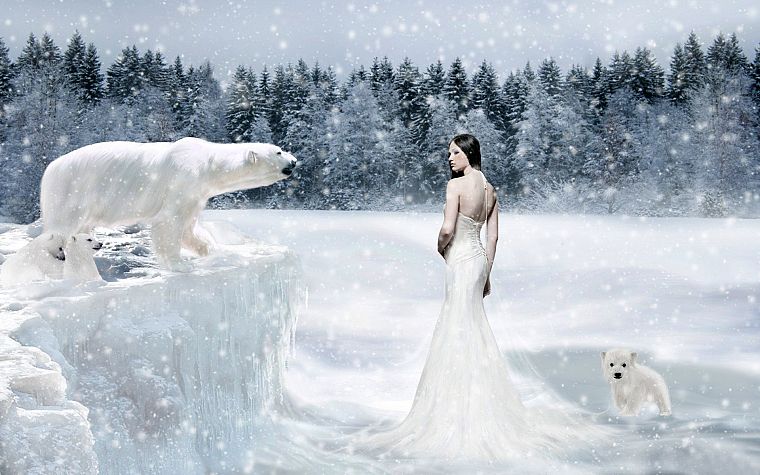 trees, snowflakes, white dress, polar bears - desktop wallpaper