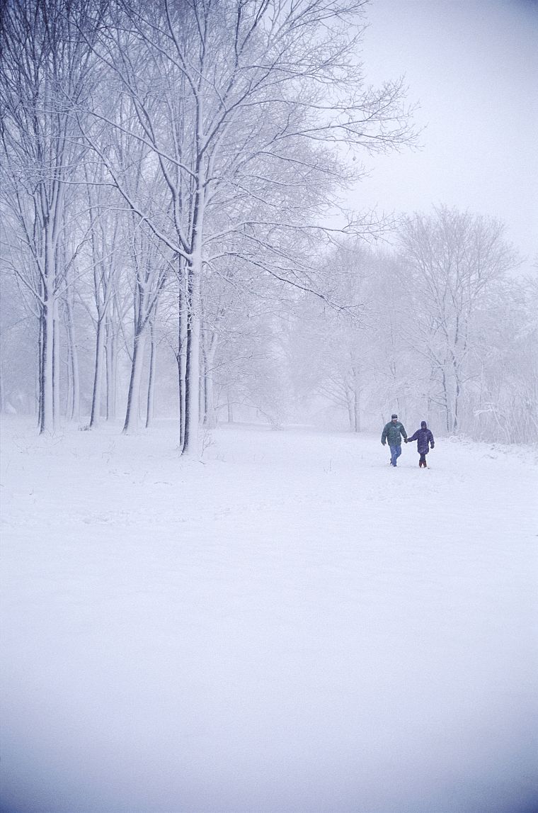 nature, snow, snow landscapes - desktop wallpaper