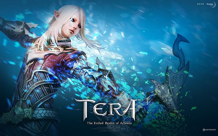 archers, Tera, MMORPG, High Elf - desktop wallpaper
