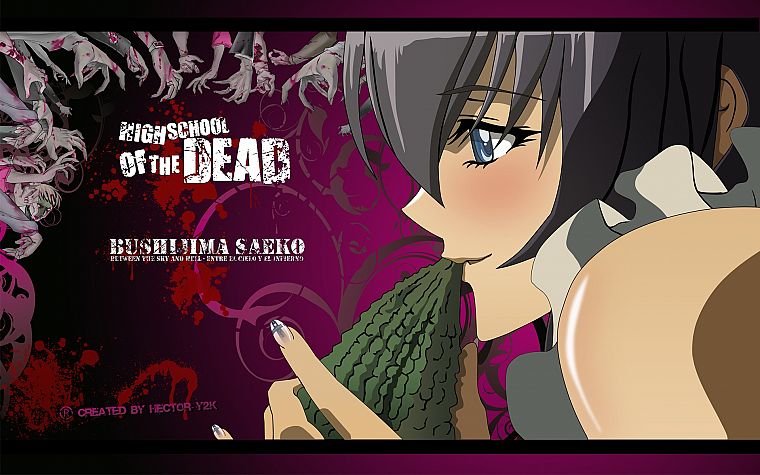 Highschool of the Dead, Busujima Saeko - desktop wallpaper