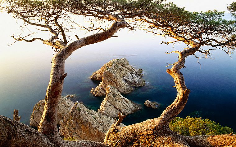 ocean, landscapes, trees, islands, seaside - desktop wallpaper