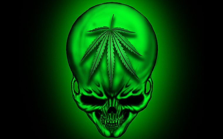 skulls, marijuana - desktop wallpaper
