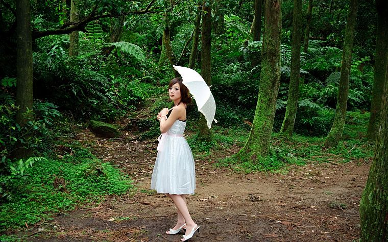 women, trees, umbrellas, Mikako Zhang Kaijie - desktop wallpaper