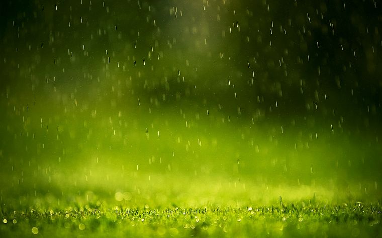 green, rain, water drops - desktop wallpaper