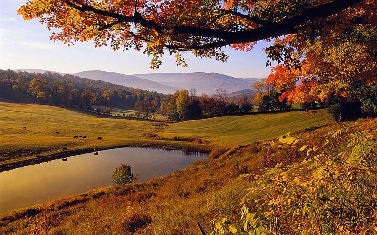 landscapes, nature, trees, autumn, forests, hills, ponds - desktop wallpaper