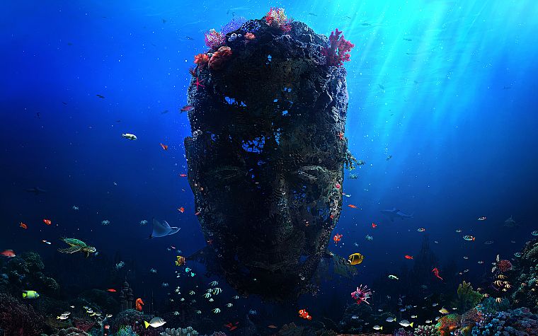 water, fish, reef, Desktopography, faces - desktop wallpaper