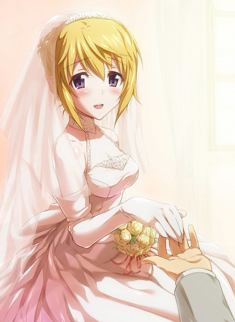 blondes, dress, brides, Infinite Stratos, Dunois Charlotte, anime, anime girls - desktop wallpaper
