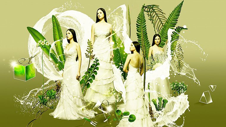 abstract, plants, gardening, montage, wedding dresses, black hair - desktop wallpaper