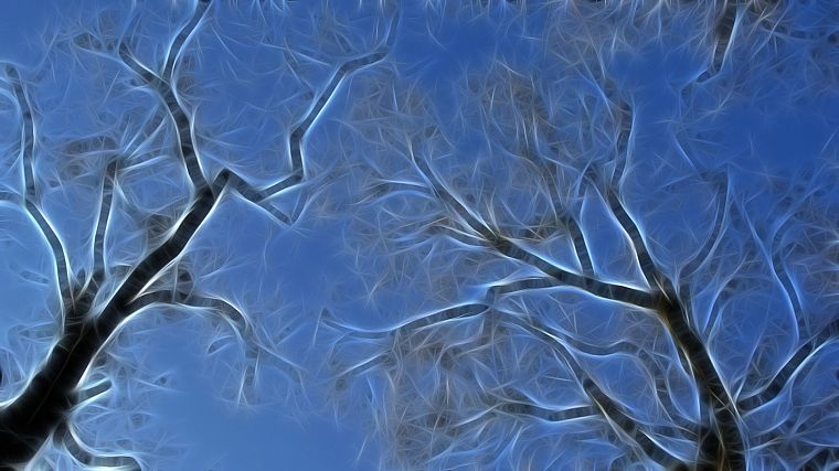 trees - desktop wallpaper