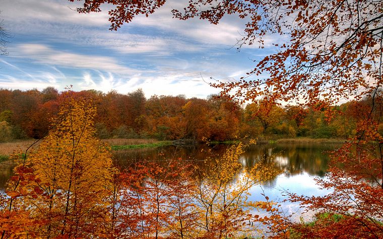 landscapes, nature, autumn, forests - desktop wallpaper