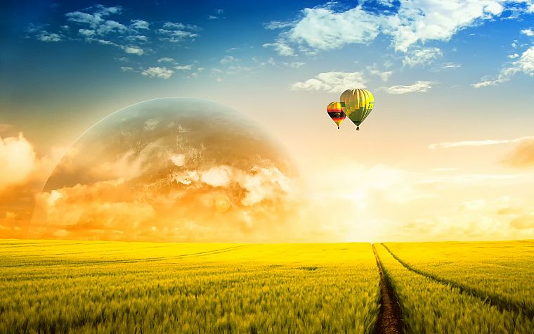 Sun, fields, hot air balloons, countryside - desktop wallpaper