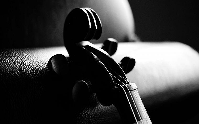music, violins, monochrome - desktop wallpaper