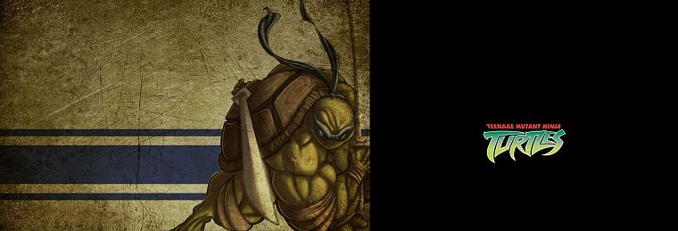 Teenage Mutant Ninja Turtles, Leonardo - desktop wallpaper