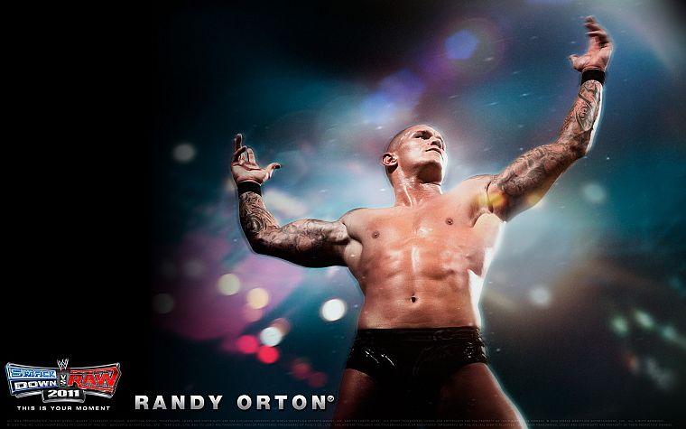 WWE World Wrestling Entertainment, Randy Orton - desktop wallpaper