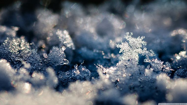 ice, snowflakes, slush - desktop wallpaper