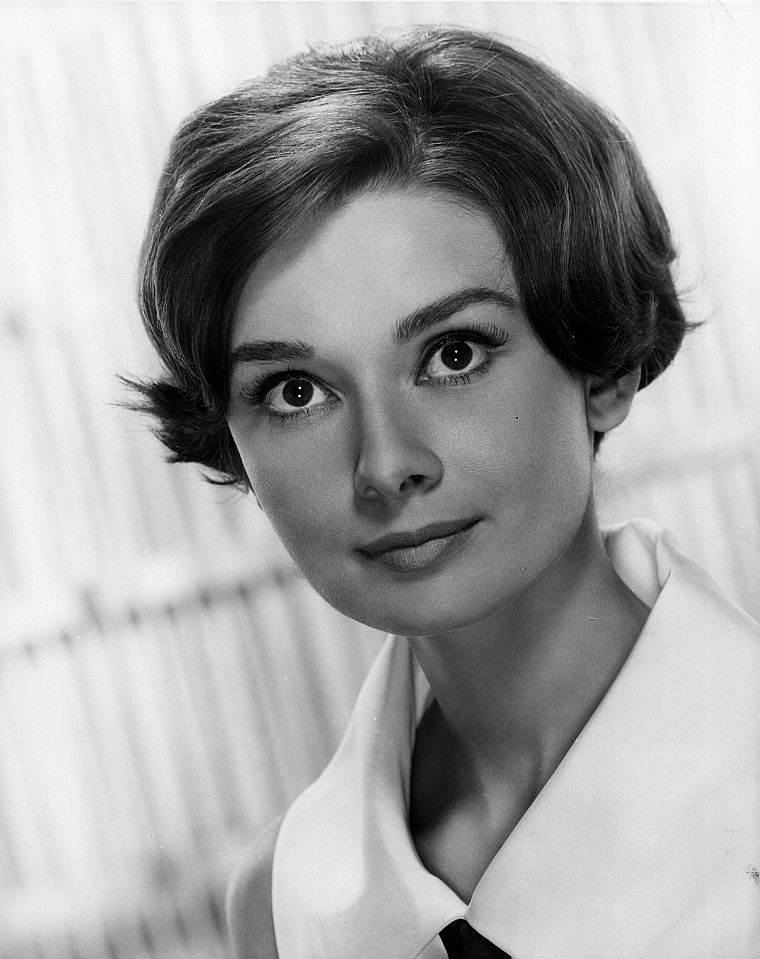 Audrey Hepburn, monochrome, greyscale - desktop wallpaper
