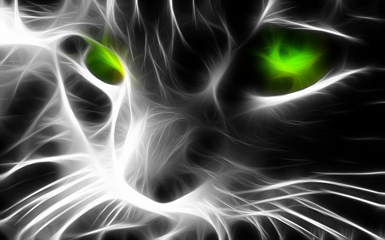 cats, animals, Fractalius, green eyes - desktop wallpaper