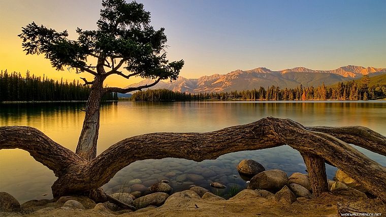 mountains, landscapes, nature, trees, lakes - desktop wallpaper