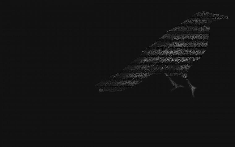 birds, grayscale, monochrome, ravens - desktop wallpaper