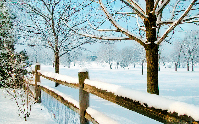 winter, snow, trees, fences - desktop wallpaper
