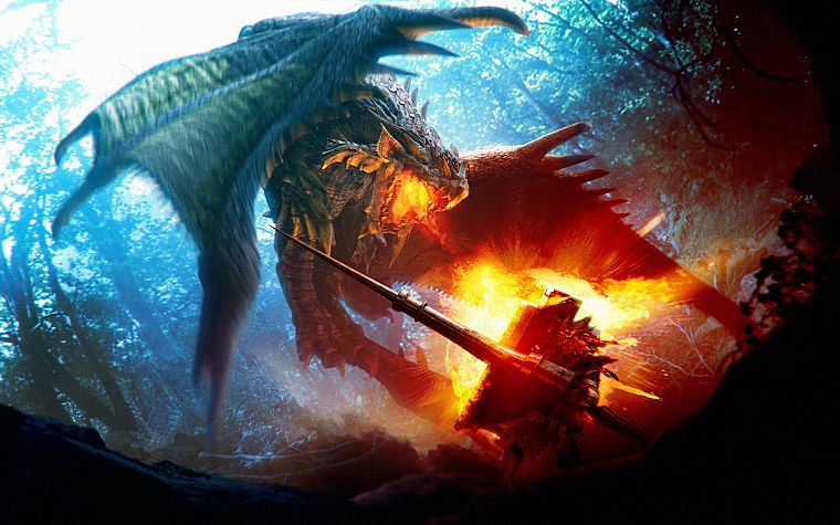 dragons, Monster Hunter - desktop wallpaper
