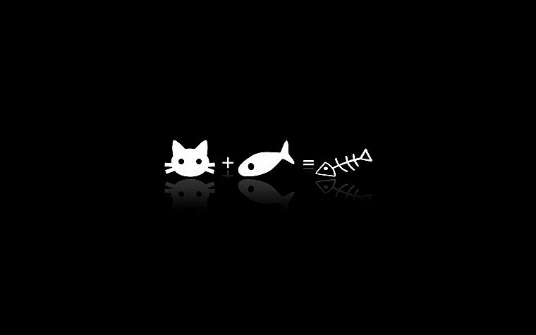 cats, fish, black background - desktop wallpaper