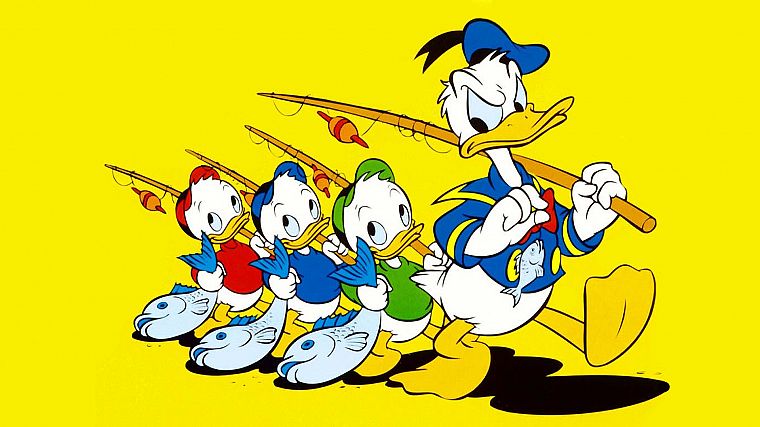 Disney Company, Donald Duck - desktop wallpaper