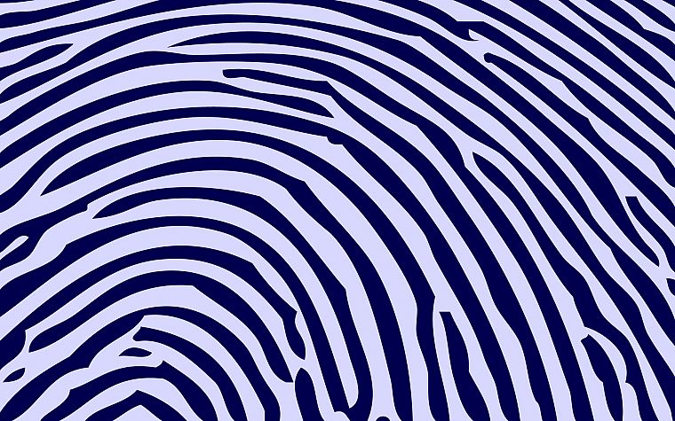 abstract, fingerprints - desktop wallpaper