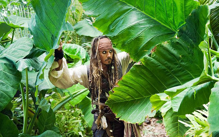 men, plants, Pirates of the Caribbean, Johnny Depp - desktop wallpaper