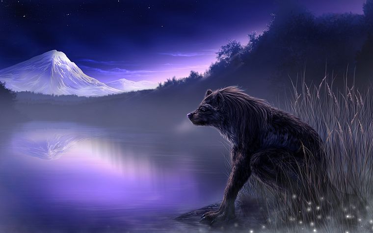 bears - desktop wallpaper