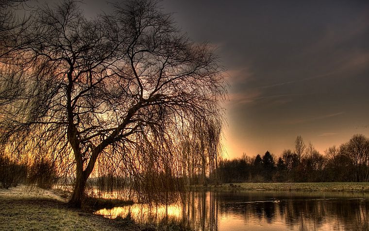 sunset, trees, HDR photography - desktop wallpaper