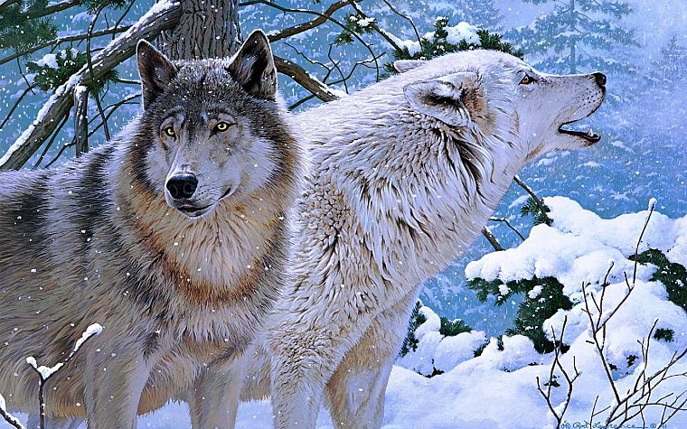 nature, animals, artwork, wolves, paintwork - desktop wallpaper