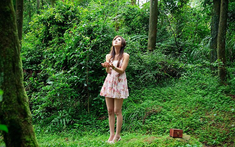 brunettes, women, nature, dress, outdoors, Asians, Mikako Zhang Kaijie - desktop wallpaper