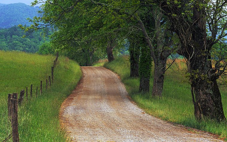 nature, countryside, Country Roads - desktop wallpaper