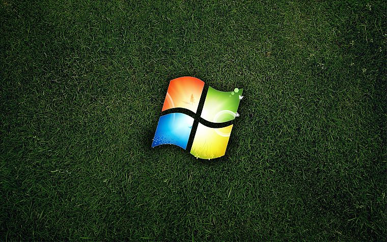 grass, Microsoft Windows - desktop wallpaper