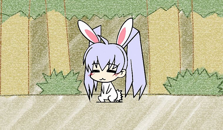 animal ears, bunny ears, anime girls - desktop wallpaper