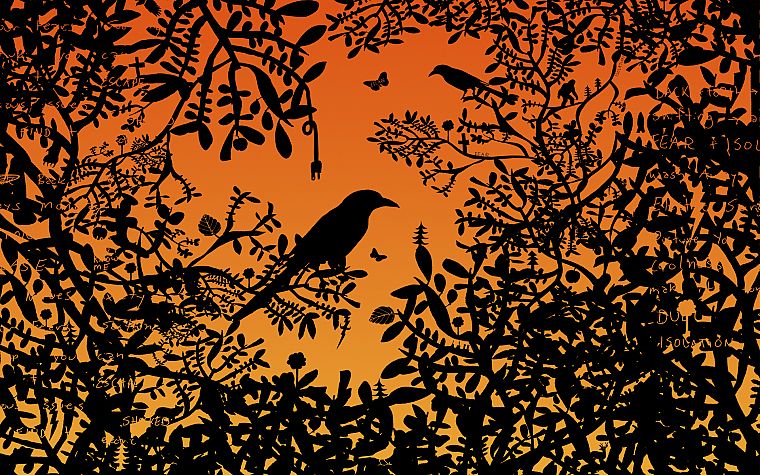 silhouettes, ravens, branches - desktop wallpaper