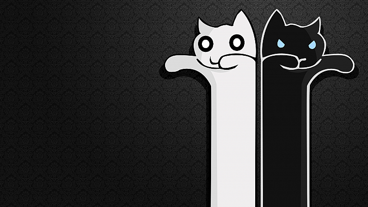 minimalistic, cats, Longcat - desktop wallpaper