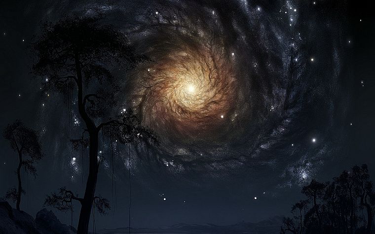 trees, galaxies, the universe, journey - desktop wallpaper