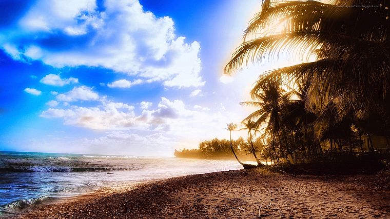 ocean, clouds, sand, trees, tropical, sunlight, palm trees, skyscapes, beaches - desktop wallpaper