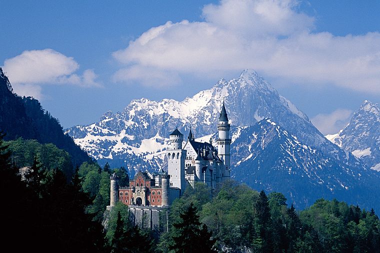 mountains, snow, castles, trees, Neuschwanstein Castle - desktop wallpaper