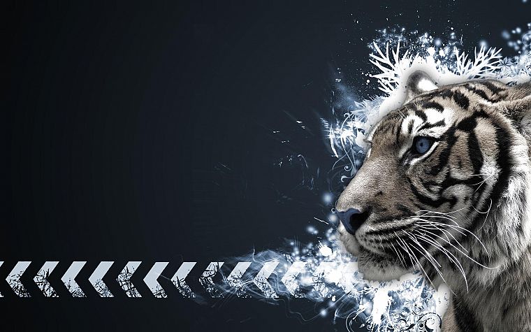 abstract, tigers - desktop wallpaper