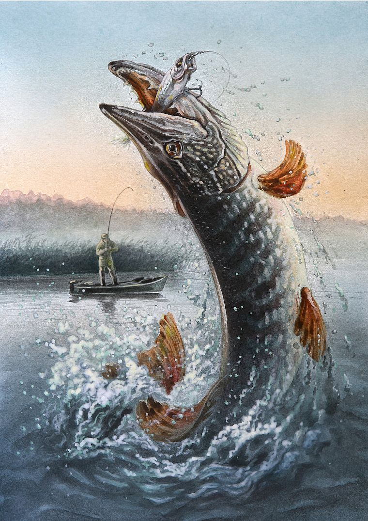 fishing, pikes - desktop wallpaper