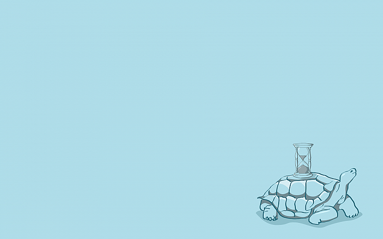 minimalistic, turtles, simple background - desktop wallpaper