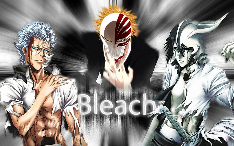 Bleach, Kurosaki Ichigo, Espada, Grimmjow Jaegerjaquez, Hollow Ichigo, Ulquiorra Cifer - desktop wallpaper