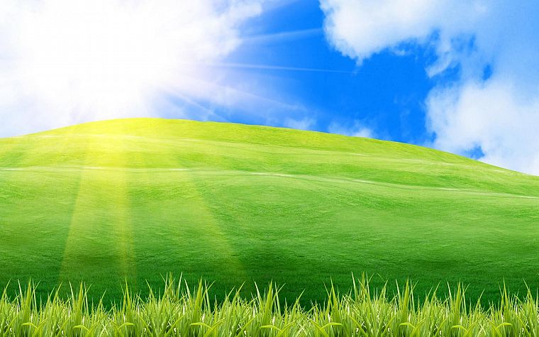 green, design, grass, spring - desktop wallpaper
