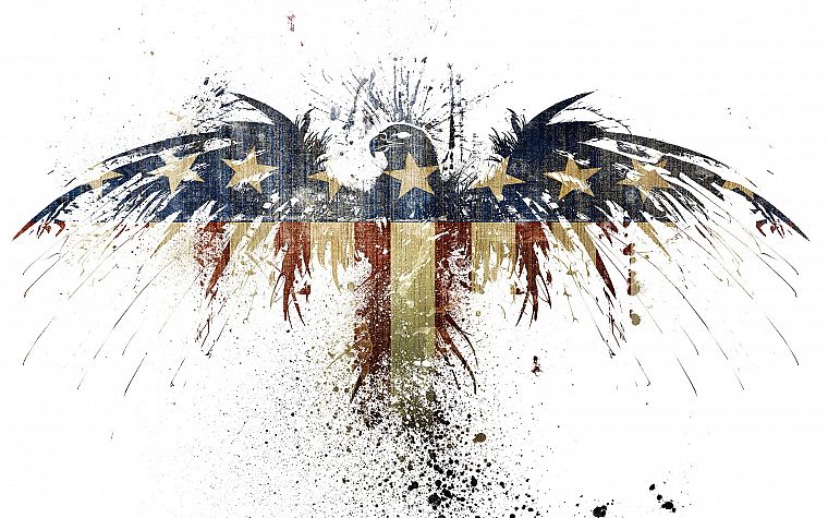 hawk, USA, American Flag, white background, Alex Cherry - desktop wallpaper